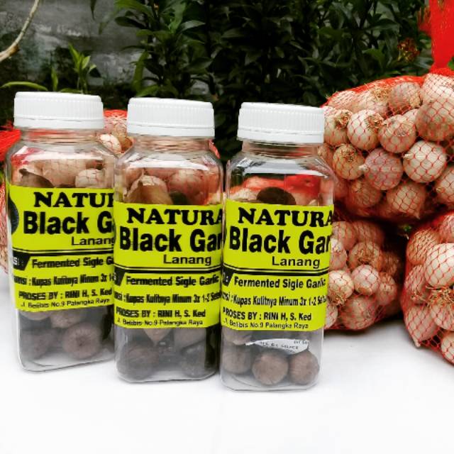 

BLACK GARLIC LANANG (bawang lanang hitam) dijamin murah