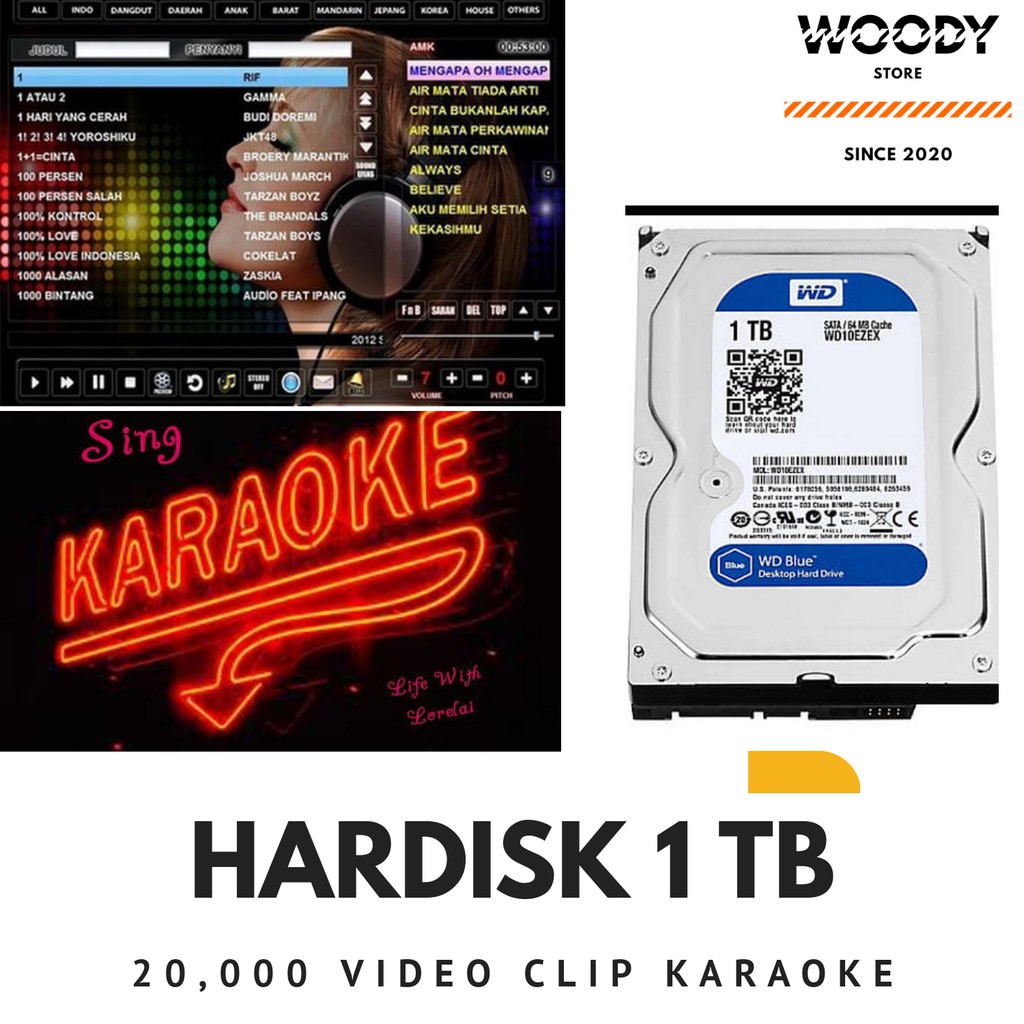 HARDISK KARAOKE 1 TB ISI 20000 Lagu Karaoke Video Clip Asli
