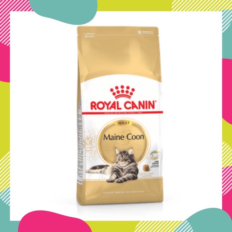 Royal Canin Adult Maine Coon