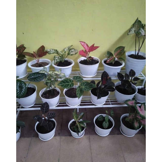 rak bunga besi susun 2