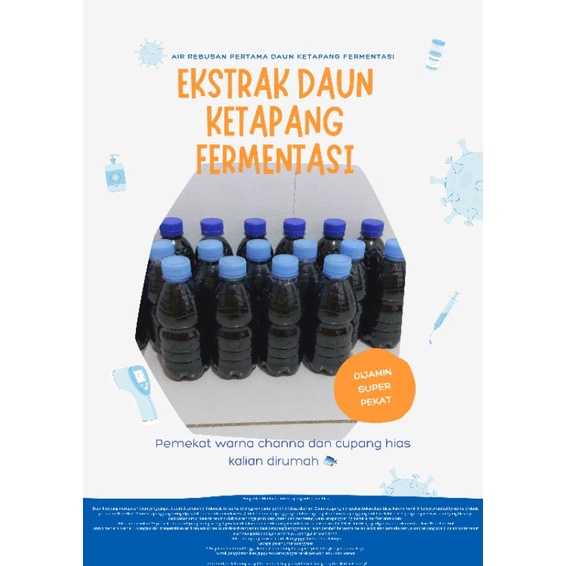 EKSTRAK daun ketapang fermentasi pekat , pemekat warna channa dan cupang