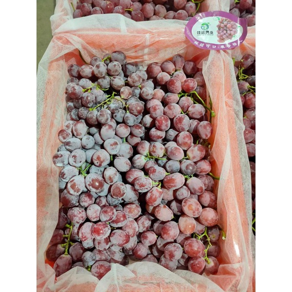 

buah segar angur red glob angur merah china 1dus 7kg