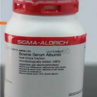 Bsa Albumin Albumine Bovine Serum Albumine Bovin Serum Albumin Shopee Indonesia