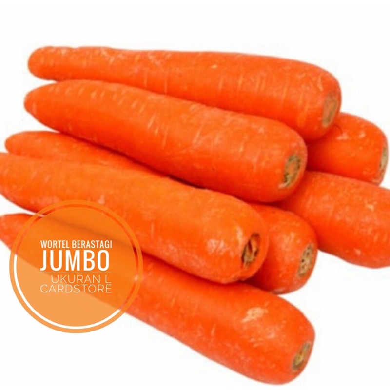 

DYTOP Wortel Berastagi JUMBO Ukuran L Fresh Segar - 1 Kg