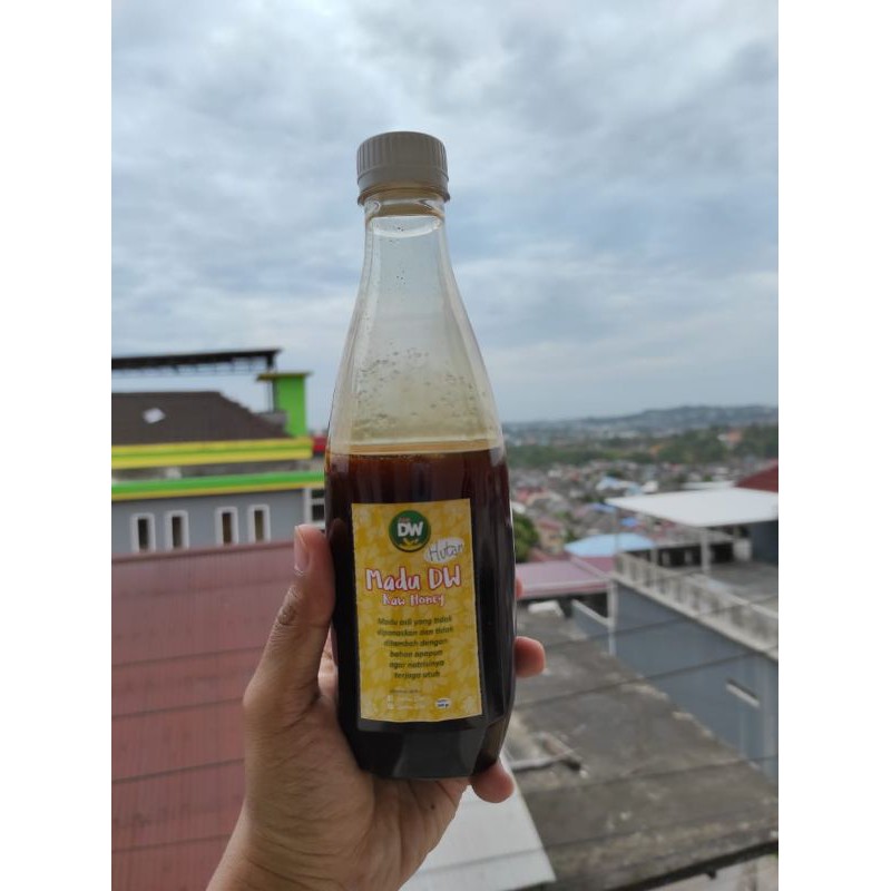 

MADU HUTAN SUMATERA (Murni/raw honey)