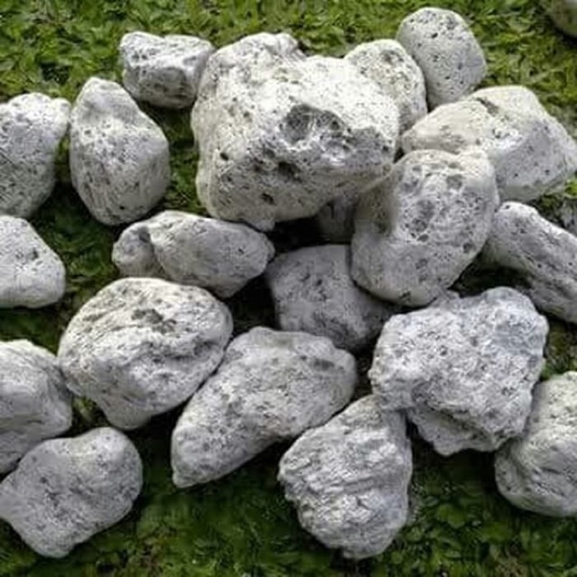 Batu Apung Batu Gombong Pumice Media Filter Biologi Kolam Koi 1kg Shopee Indonesia