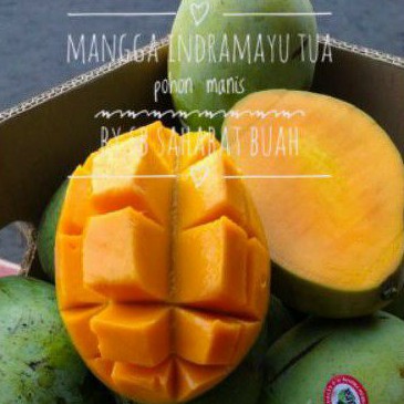 New BUAH MANGGA INDRAMAYU MATANG MANIS