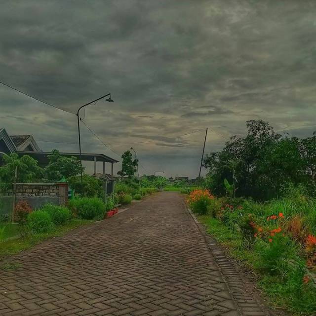 kartikadwip713
