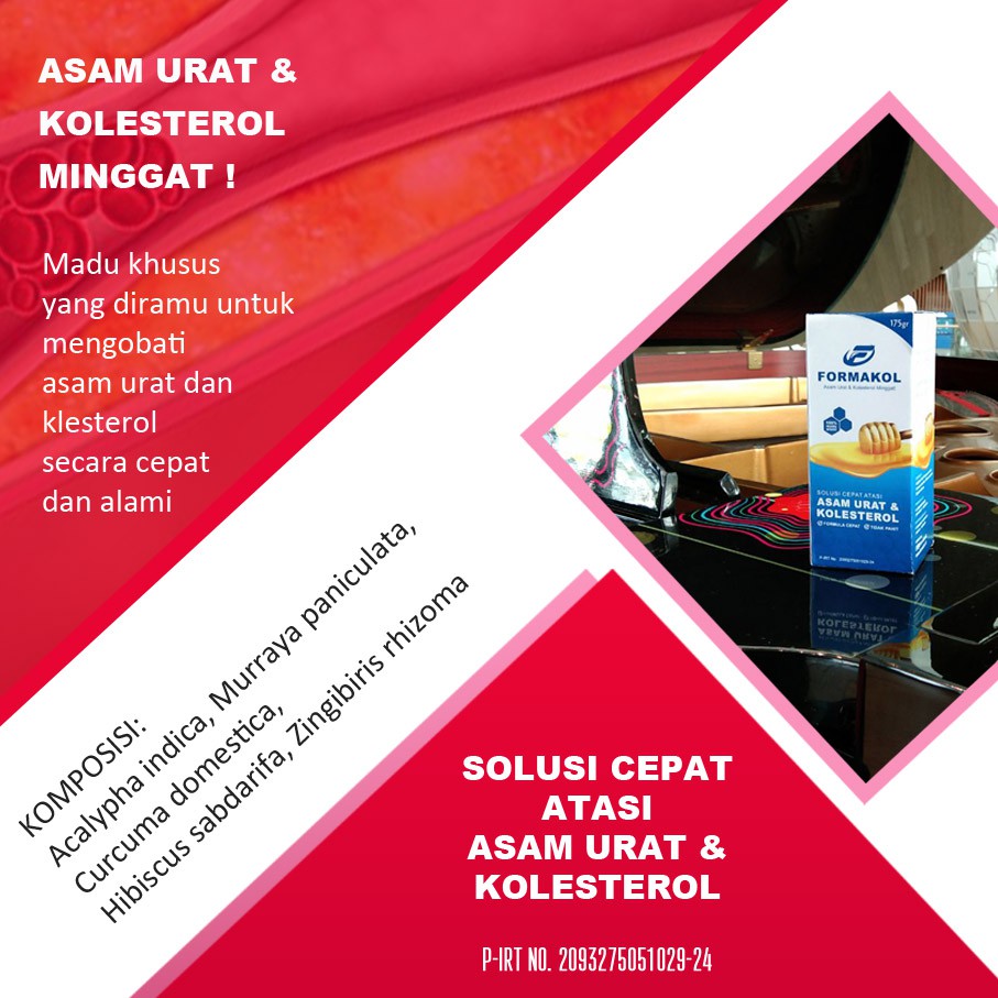 

MADU JAMU FORMAKOL KESEMUTAN AKIBAT GEJALA KOLESTEROL PADA IBU HAMIL