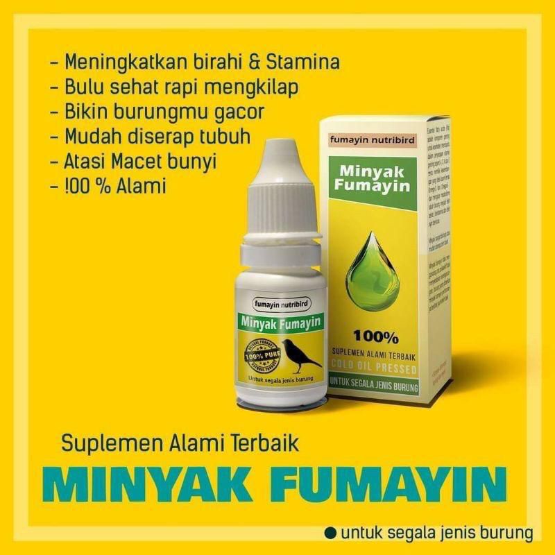 Penggacor Burung Minyak Fumayin