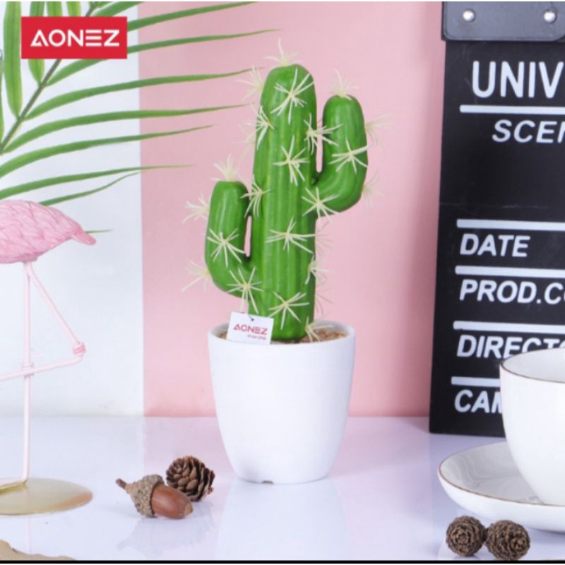 kaktus.aonez