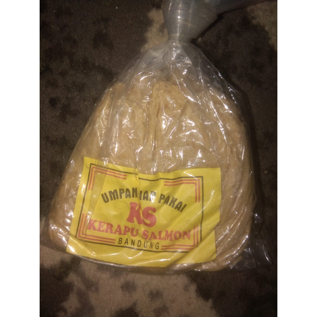 Umpan Mancing jadi Kerapu Salmon, super Kerapu, SKKS (SUPER KRAPU & KRAPU SALMON)