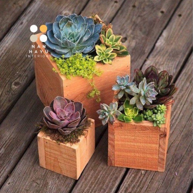 Rak Bunga Pot Bunga Vas Bunga Kayu Rak Kayu Sukulen Pot Kayu Kaktus Minimalis