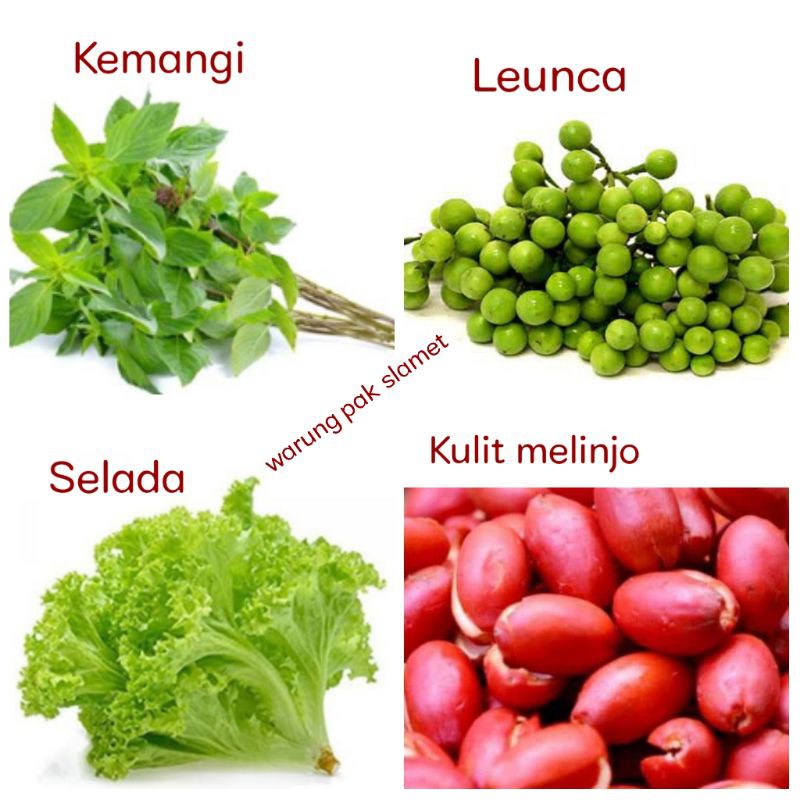 

Kemangi / Leunca / Selada / Kulit melinjo sayuran segar