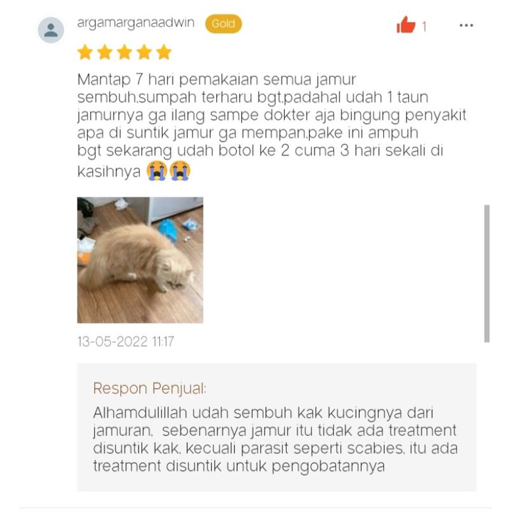 Obat Jamur Anjing Kucing Kitten Griforce Anti Jamur Ringworm Parasit Kulit Berkerak Alergi Dermatitis Bulu Rontok Ketombe