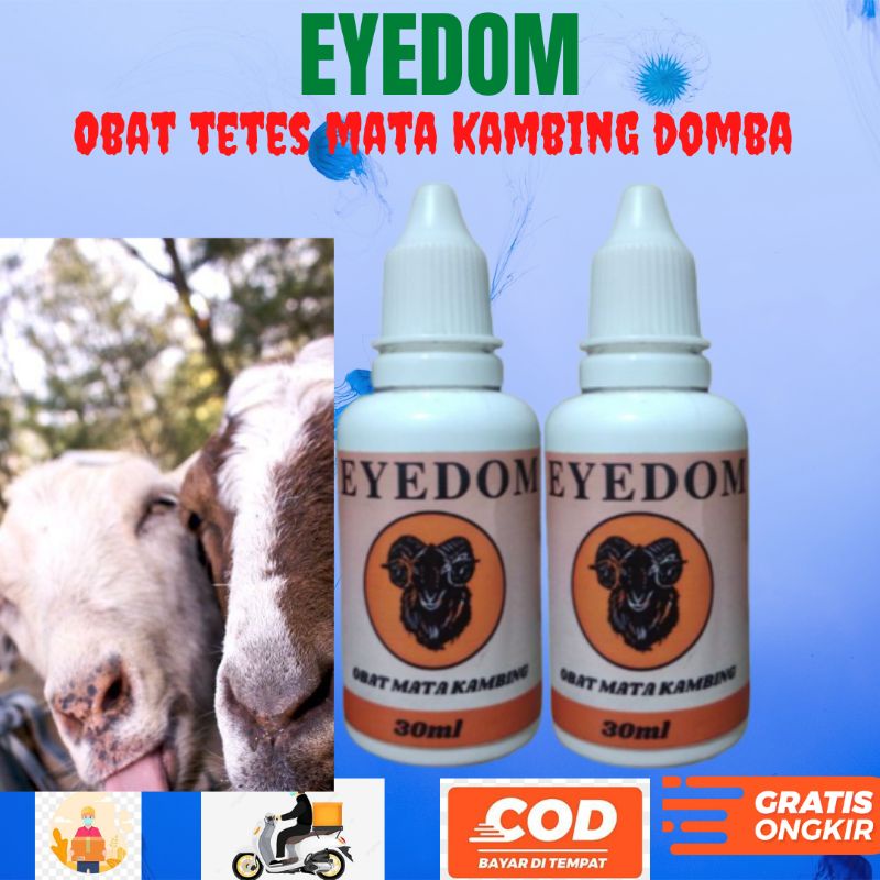 Obat tetes mata kambing Obat iritasi mata sapi kambing domba ALFARM