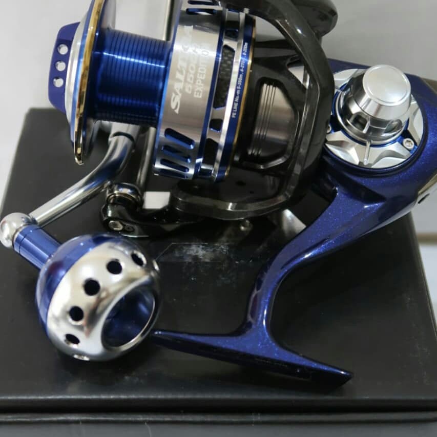 DAIWA SALTIGA Expedition 5500H Fishing Reel
