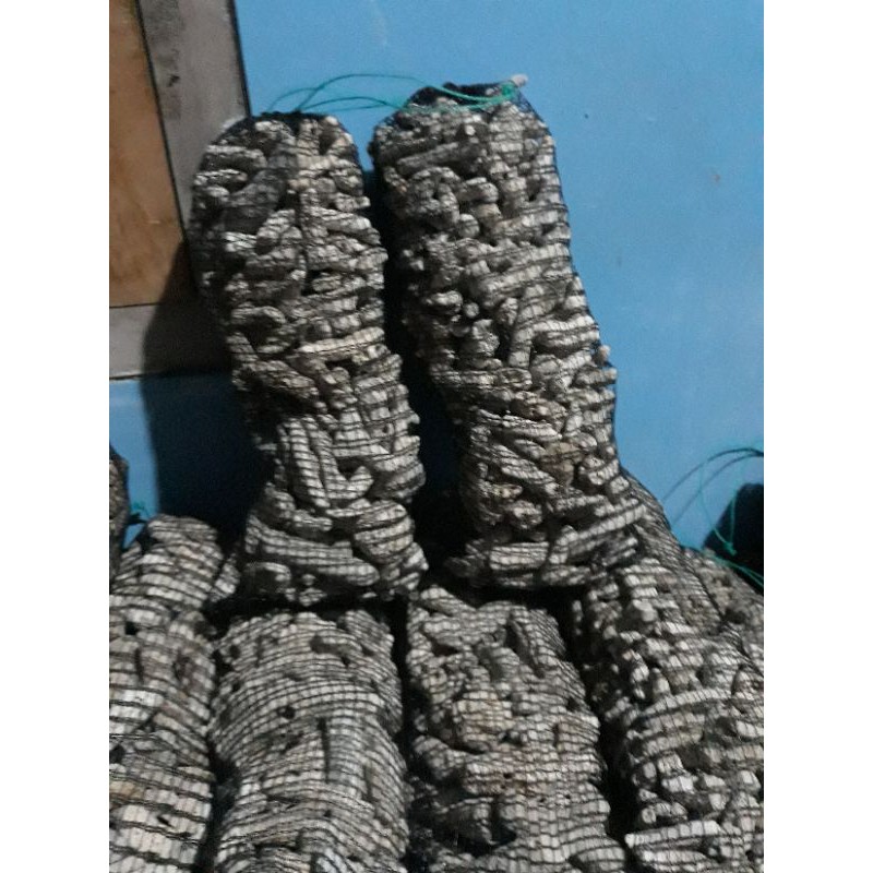 karang jahe media filter 1 kg