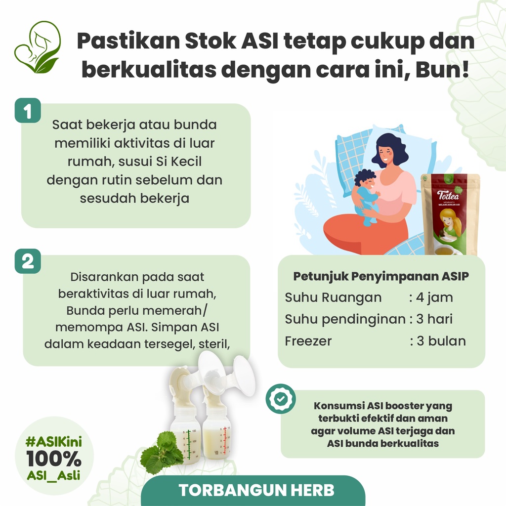 PAKET HEMAT TORTEA 3 pcs TEH CELUP TORBANGUN TEH PELANCAR ASI BOOSTER FREE MADU