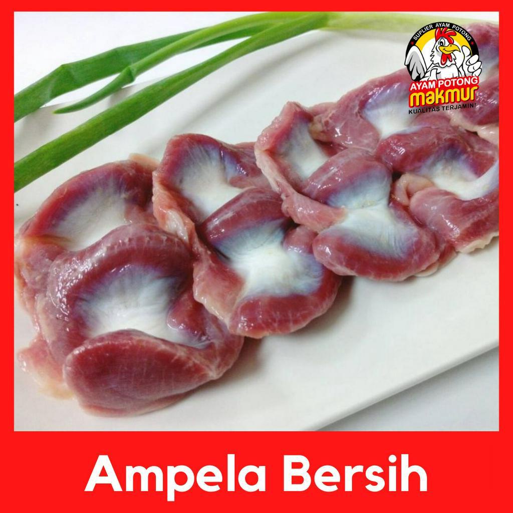 

Ampela Ayam Bersih