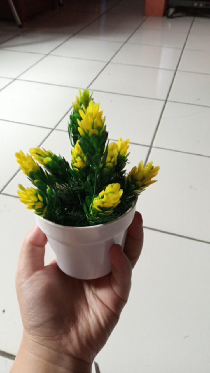 Pot + Bunga Hias Bunga Plastik Bunga Palsu Bunga Artifisial Kaktus Hiasan Rumah Shabby Home Decor