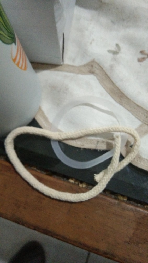 Botol Minum Kaktus Botol Minum Kaca