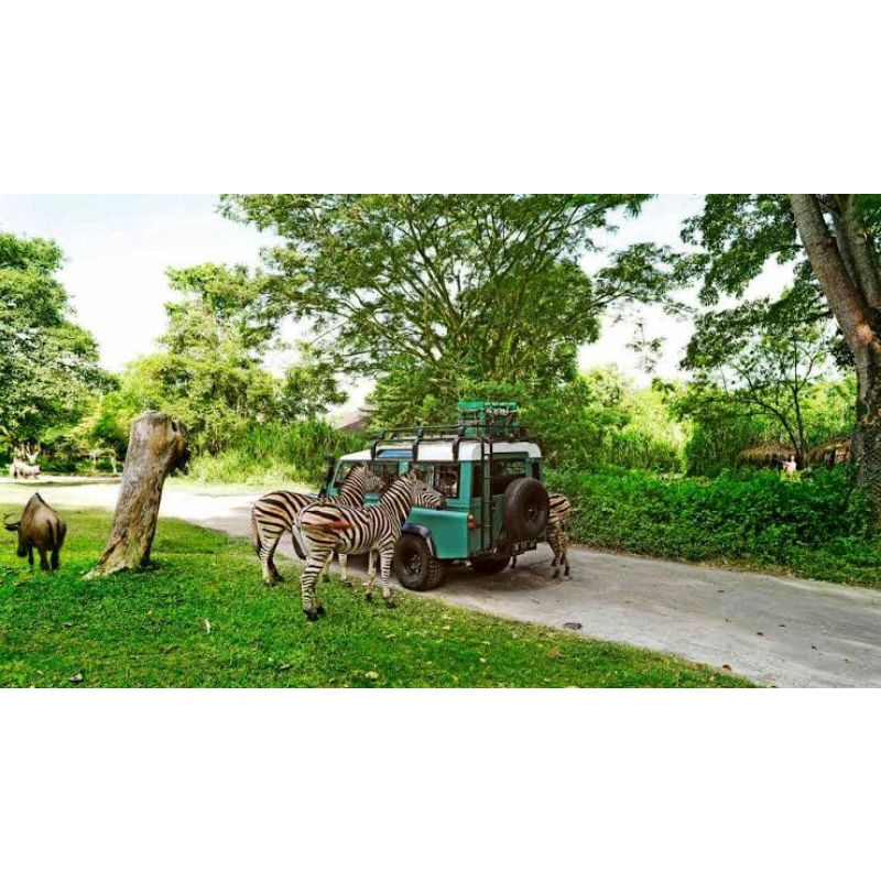 Charter Mobil, Bali Rafting & Tiket Wisata Safari Gianyar