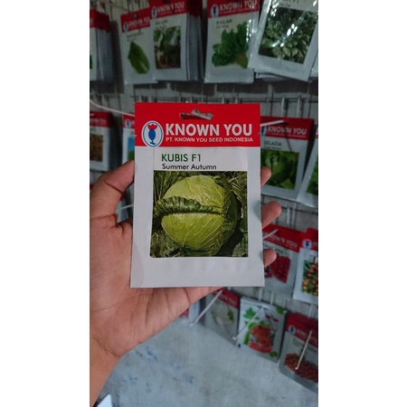 Benih Bibit Kubis Summer Autumn Isi 150bj