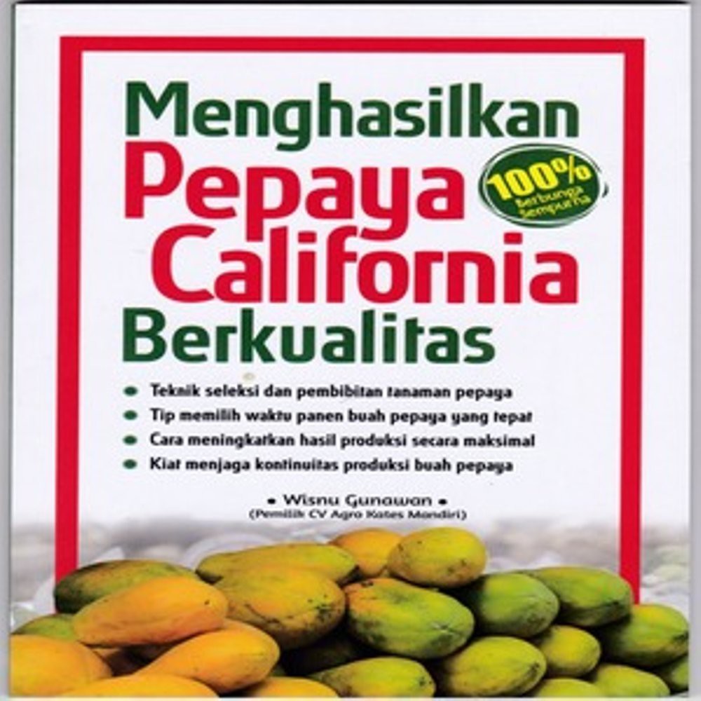 #Menghasilkan Pepaya California Berkualitas