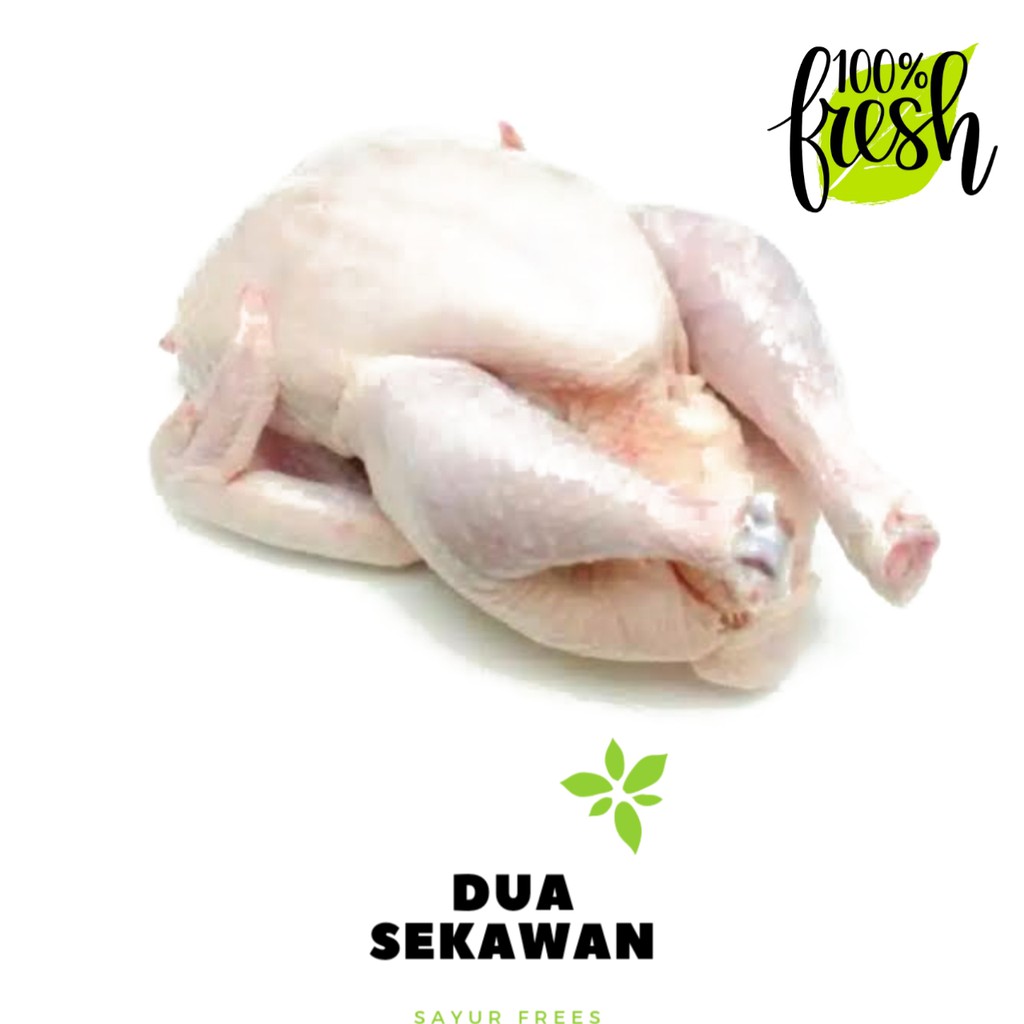 

Dua Sekawan | ayam broiler utuh segar