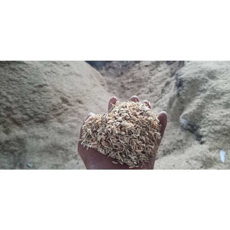 Sekam Mentah 25Kg || Merang || media tanam || Kulit Padi