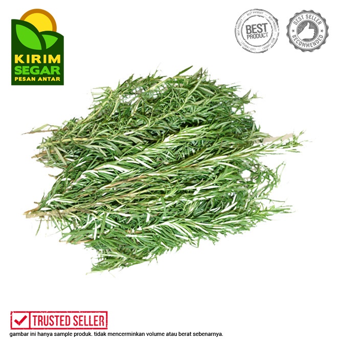 

Daun Rosemary Segar / Rosemary Fresh / Rosemary / Pack