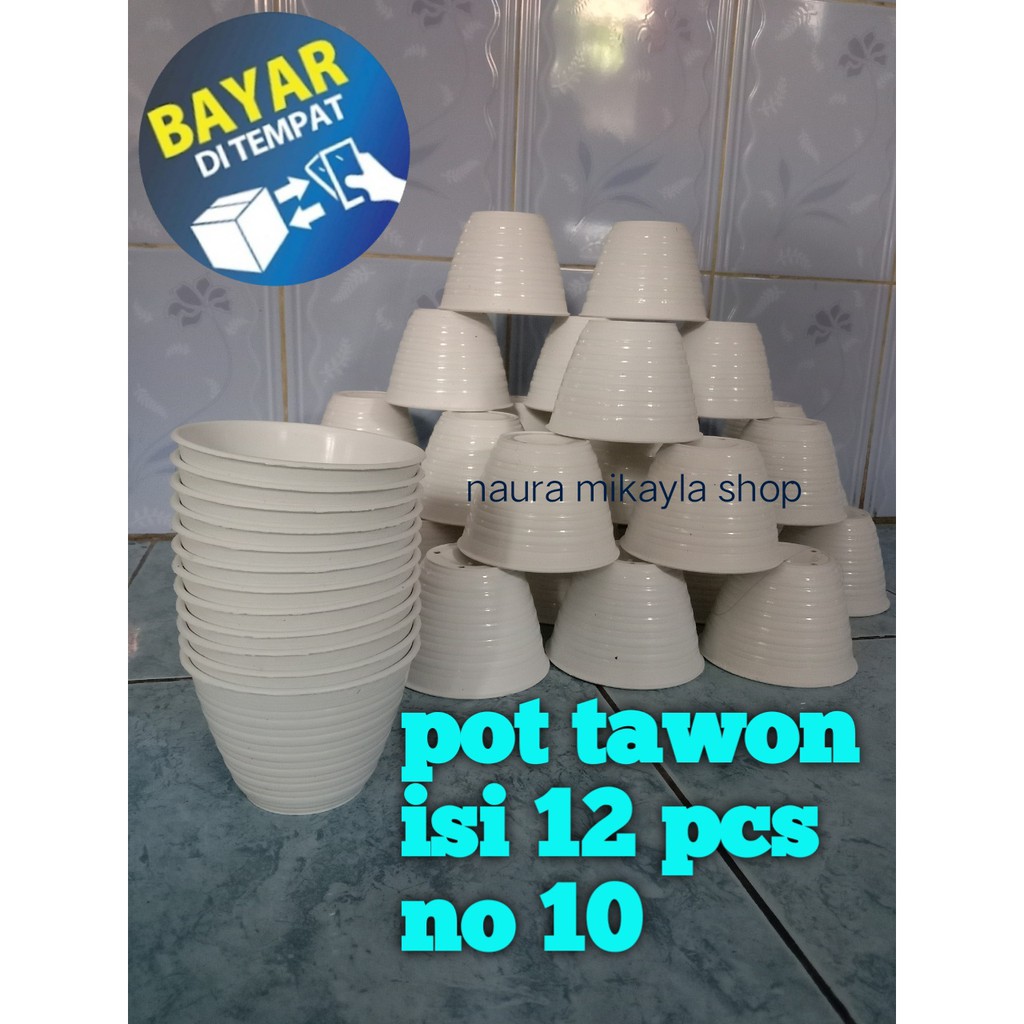 Pot Bunga plastik Lusinan Murah 10 cm Pot Tawon Putih Pot Bunga 1 Lusin Murah isi 12pcs Pot Tawon