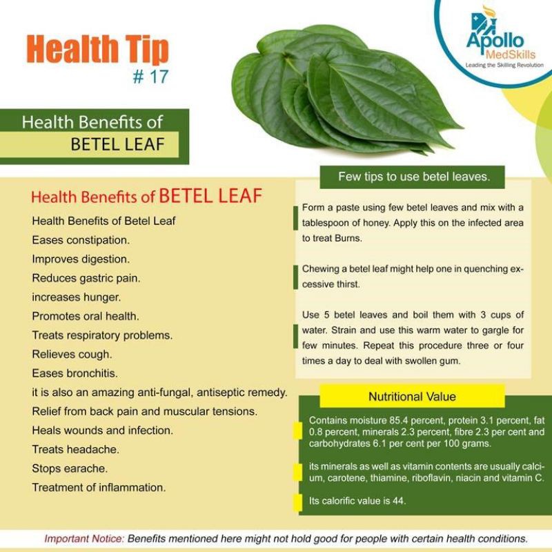 BETEL LEAF TEA : TEH DAUN SIRIH HIJAU ISI 30 TEA BAG