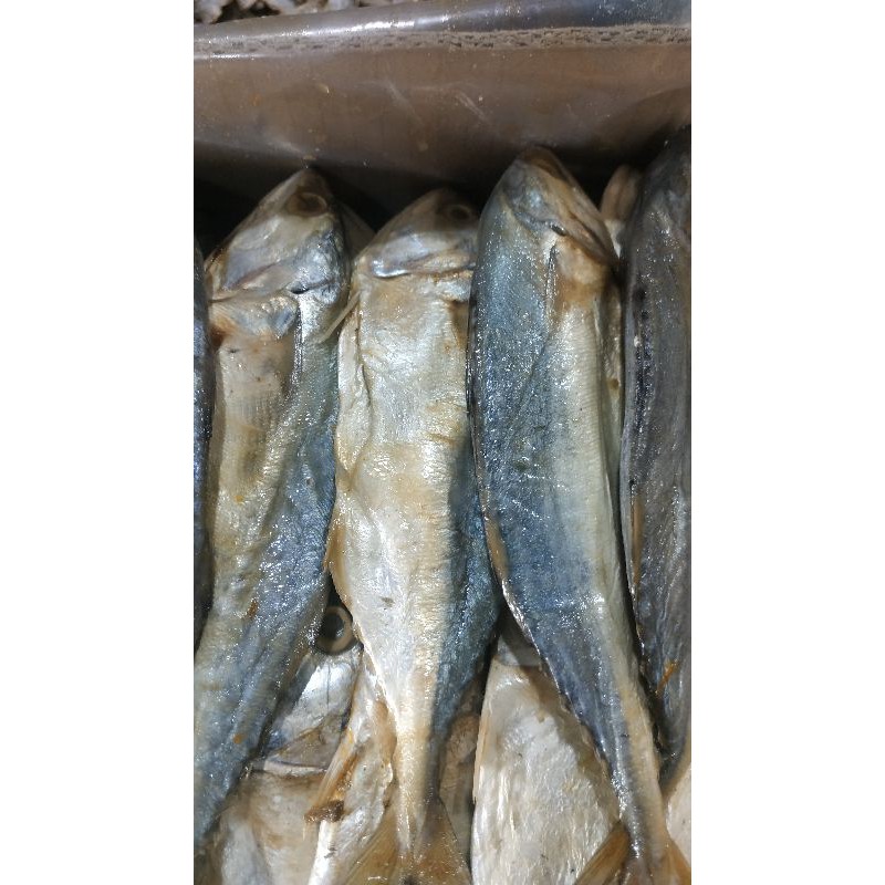 

Ikan asin PEDO atau PEDA 500gr non formalin di Malang