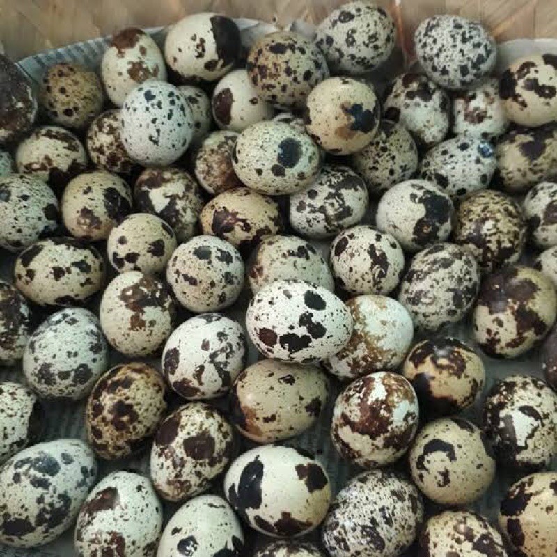 Telur Puyuh 1 Kg 90 Butir Indonesia