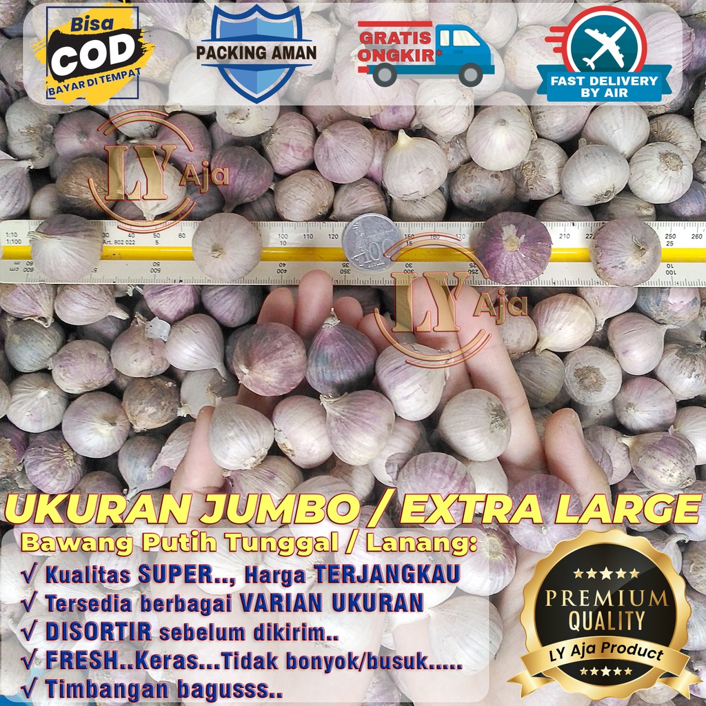 Bawang Putih Tunggal Lanang Impor 250 Gram KECIL SEDANG BESAR JUMBO Kualitas Super LY Aja 250 Gr