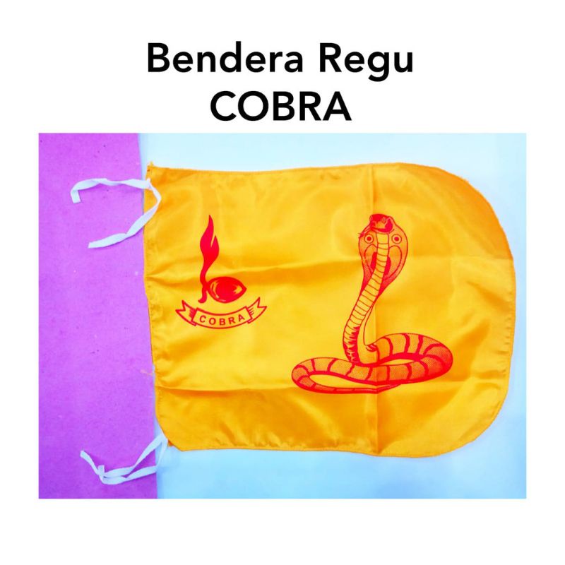 BENDERA REGU PRAMUKA PUTRA