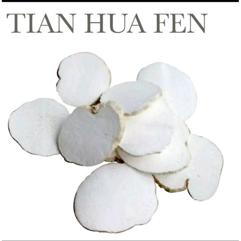 

300 G GR GRAM TIAN HUA FEN 天花粉片 TRICHOSANTHES SNAKEGOURD ROOT