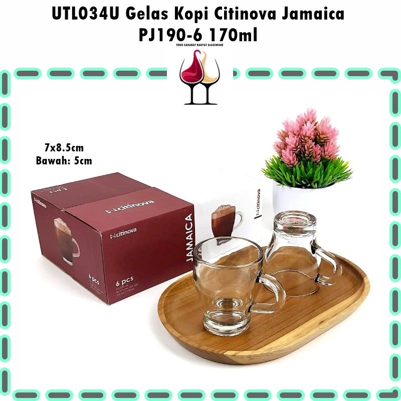 [1pcs] UTL034U Gelas Kopi Citinova Jamaica PJ190-6 170ml