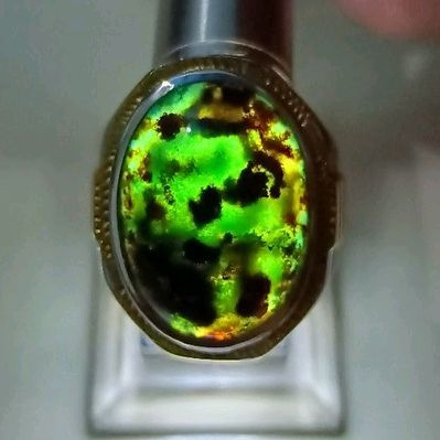 bacan doko coklat