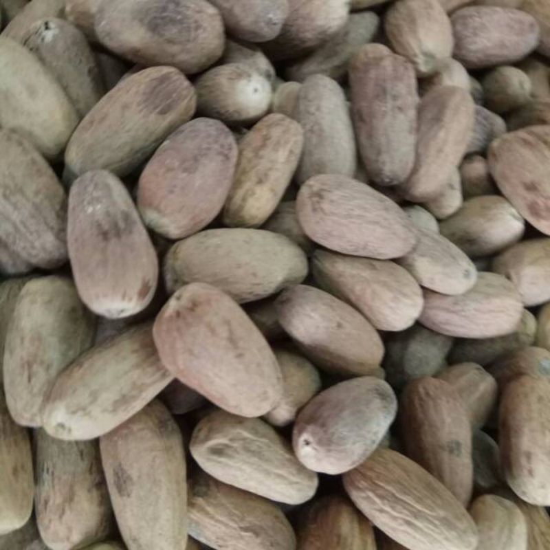 

biji pala