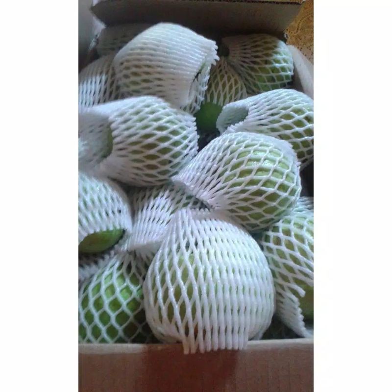 

jambu Cristal