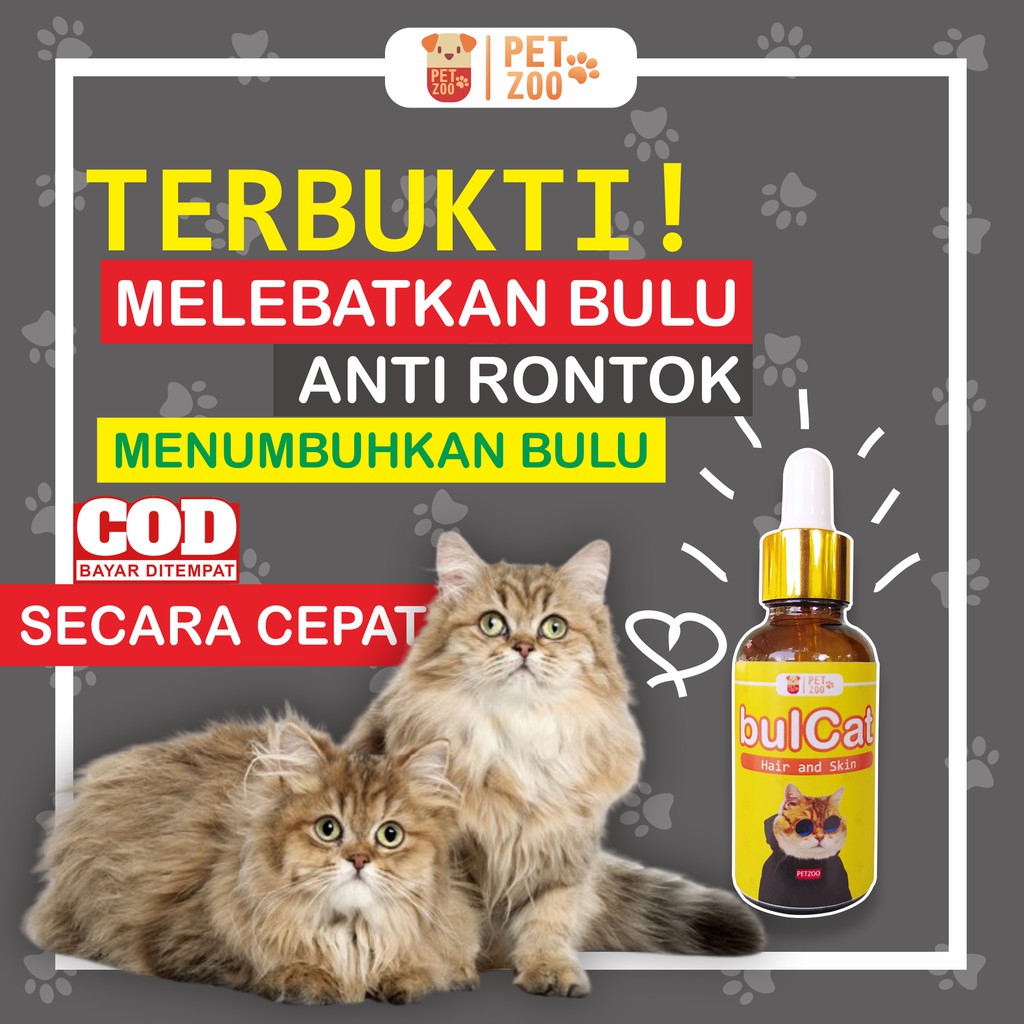 [D26] BULCAT VITAMIN BULU KUCING ANJING CAT DOG PENUMBUH BULU RONTOK OBAT PENYAKIT KULIT ANTI RONTOK