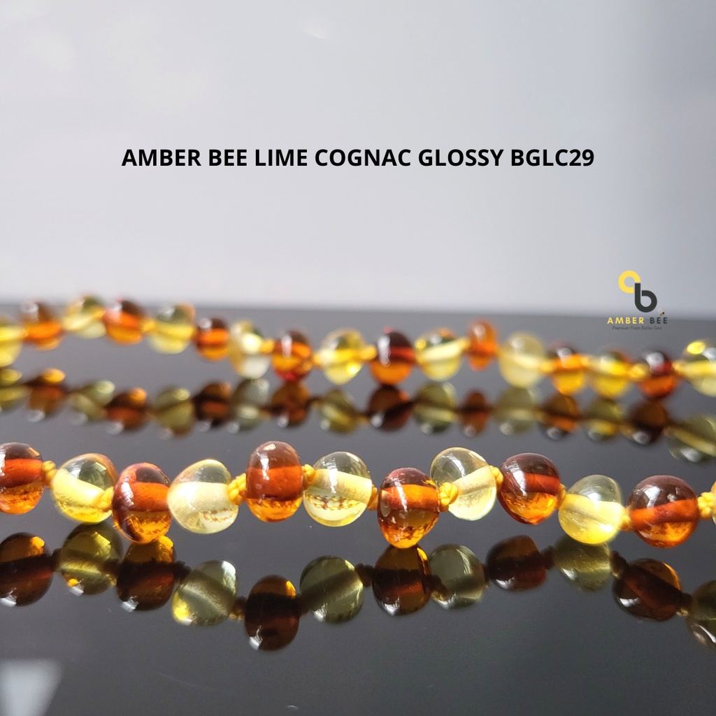 Kalung Anak Amber Premium Glossy Lime Cognac BGLC29 By Amber Bee