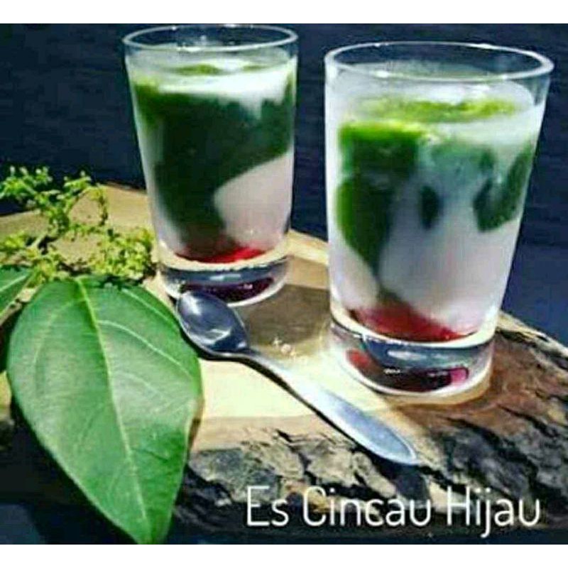 Bibit Cincau Hijau