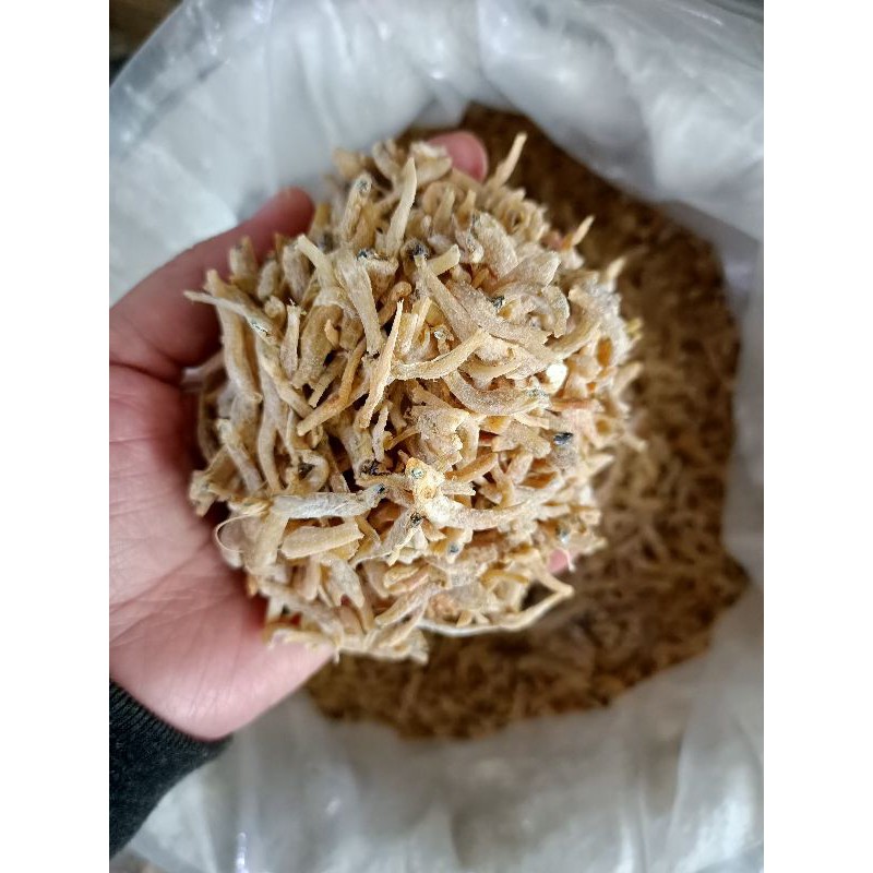 

Ikan Teri Kampung / Ikan Teri Asin / Teri Kalimantan / Teri Pontianak / Ikan Teri Lokal