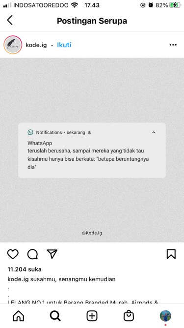 Nota Link 1kg 4.4 (21-35)