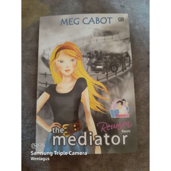 The mediator