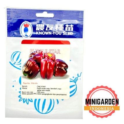 PAPRIKA UNGU PURPLE STAR 10 GRAM PACK BESAR benih biji cabai paprika sweet pepper f1 known you seed